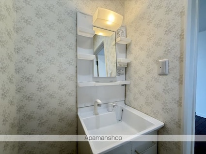 シルバーバック（シルバーバック）[2LDK/50.92m2]の洗面所