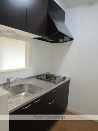 ＲＩＺ大京町[1LDK/40.52m2]のキッチン