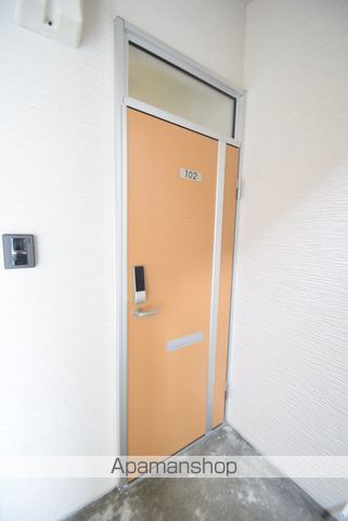 Pアザラシのその他写真