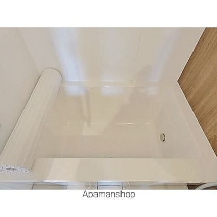 Ｇｒａｎｄ　Ｐａｌａｃｅ　ＩＫＡＩ[1LDK/46.61m2]の内装4