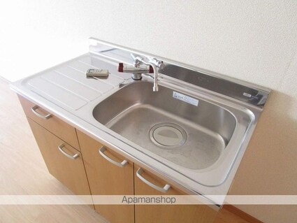 ロックバレー大野[1R/24.16m2]のキッチン