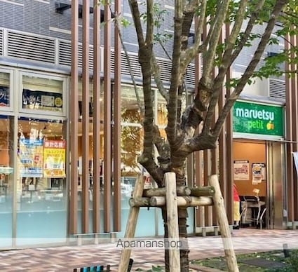 インシティ浜松町[1R/22.32m2]の周辺2