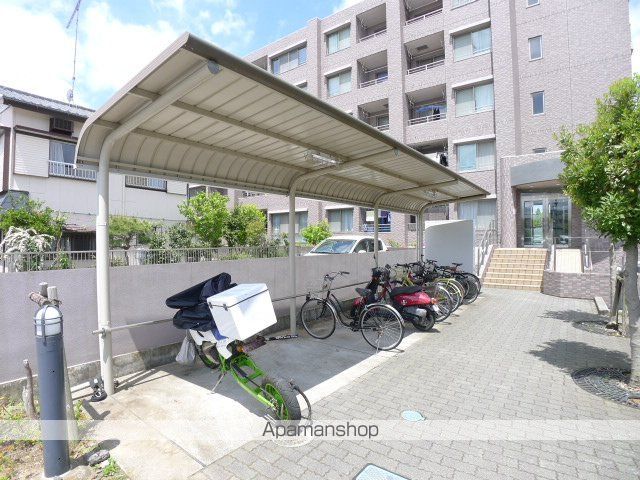 アミリスのその他写真