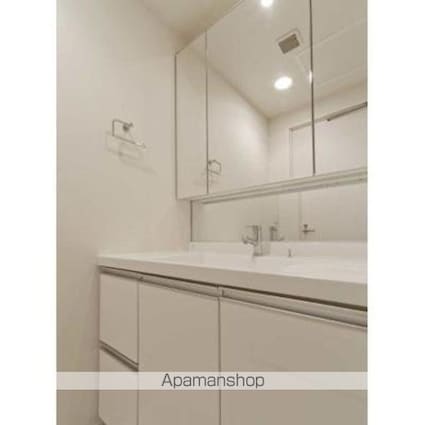 ＴＨＥ　ＴＯＫＹＯ　ＴＯＷＥＲＳ　ＭＩＤＴＯＷＥＲ[1K/50.59m2]の洗面所