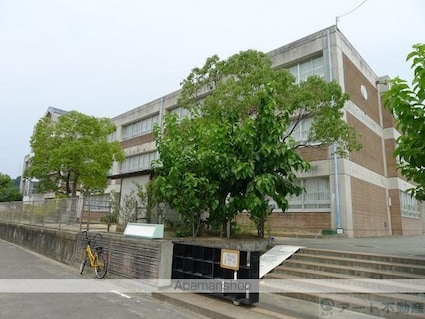 愛媛県松山市吉藤５丁目[2LDK/58.48m2]の周辺4