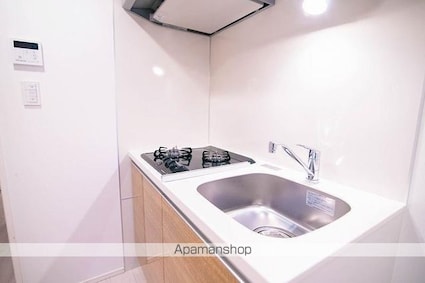 ラフィスタ錦糸町Ⅱ[1R/25.59m2]のその他内装6