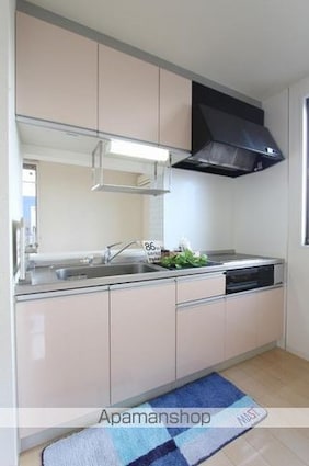 パインテイル　Ａ・Ｂ・Ｃ・Ｄ棟[2LDK/58.54m2]のキッチン