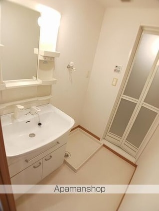 フォーリスト　ヴィレッジ弐番館[1R/42.38m2]の洗面所