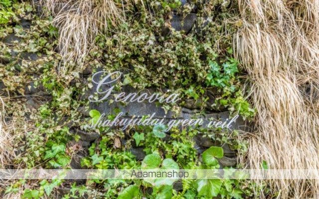 GENOVIA石神井台green veilの外観写真