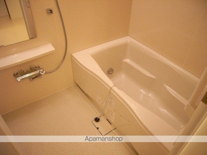 パークアクシス錦糸町[2DK/45.08m2]のバス