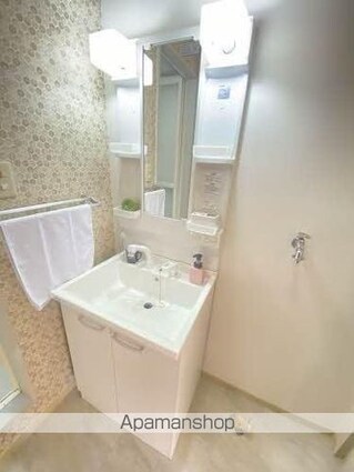 バリュージュヤシマＡ・Ｂ・Ｃ・Ｄ棟[3K/54.07m2]の洗面所