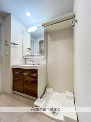 フロンティアレジデンス錦糸公園[1LDK/34.15m2]の洗面所