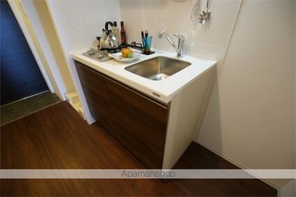 レジディア亀戸プレイス[1DK/26.55m2]のキッチン