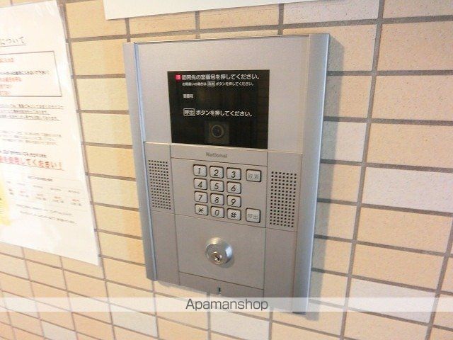 セントポーリアブライトのその他写真