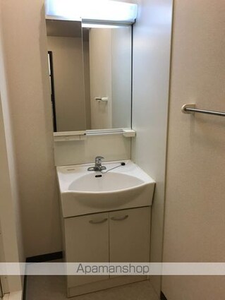 レオネクストモアー[1LDK/46.94m2]の洗面所