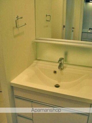 コンフォリア東池袋ＷＥＳＴ[1K/29.46m2]の洗面所