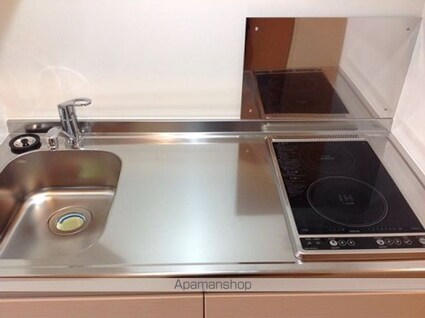 レオネクスト花水木[1K/25.89m2]のキッチン