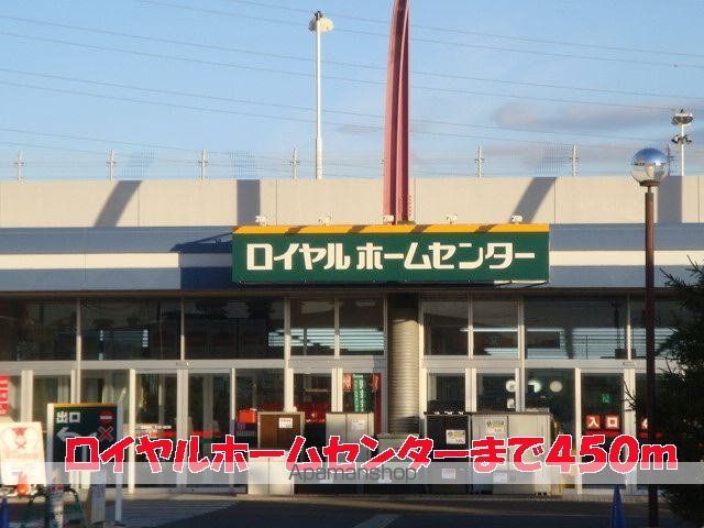 フォーリーフ・クローバーの周辺写真