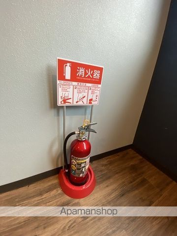 セフィーロピラケシのその他写真