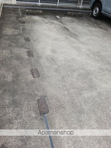 オリーブのその他写真