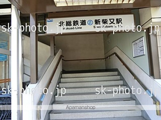 ミランダファレノの周辺写真