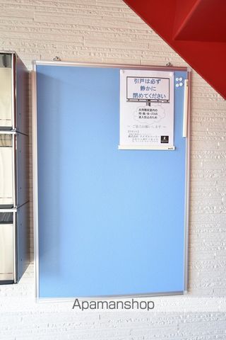 シンシアジュードのその他写真