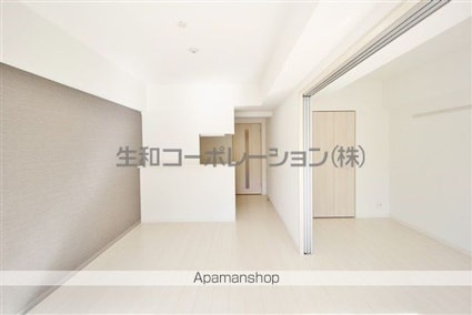 スカイガーデン錦糸町[1LDK/41.91m2]の内装4