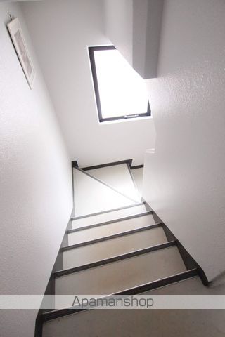 HS菊水624のその他写真