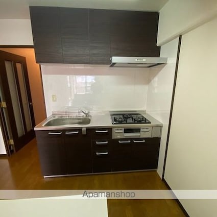 ファミールＤＡＮ[3LDK/66.08m2]のキッチン