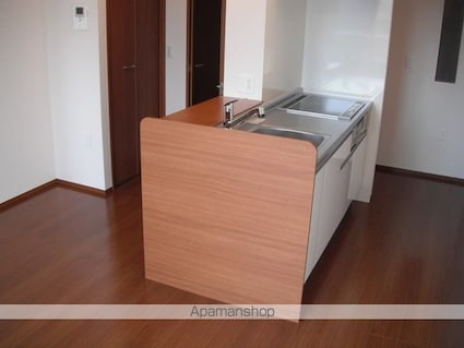 Ｄーｒｏｏｍ雪月花[2LDK/54.47m2]のキッチン