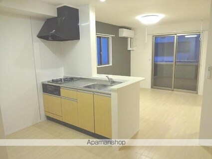 セレーナ[1LDK/41.96m2]のキッチン