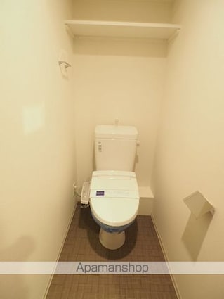 レジディア新御徒町Ⅱ[2DK/43.86m2]のトイレ