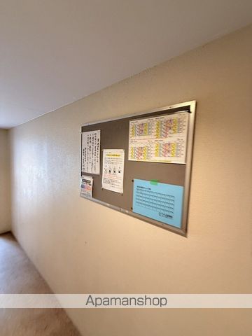 シャイニングスターのその他写真