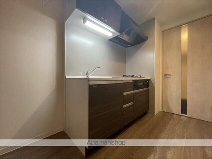 リッツ　ラピス[1LDK/33.07m2]のキッチン