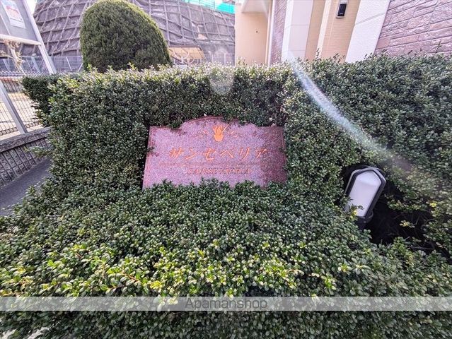 サンセベリアの外観写真