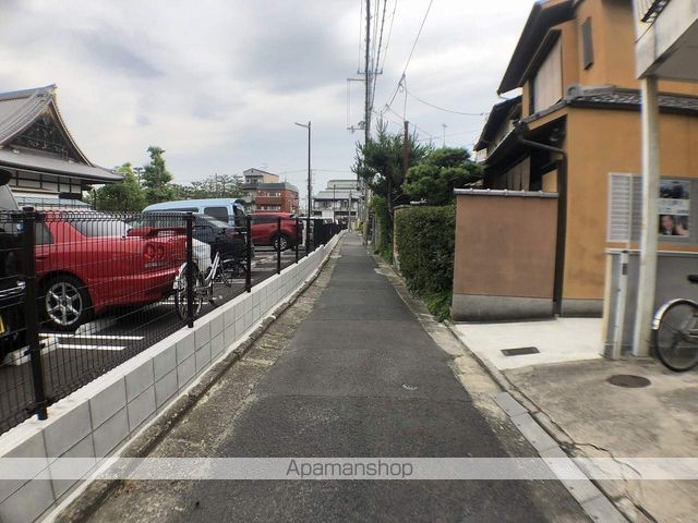 タウニィ杉の周辺写真
