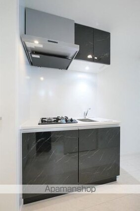 ハーモニーレジデンス新宿早稲田ザ・ガーデン[1DK/25.65m2]のキッチン