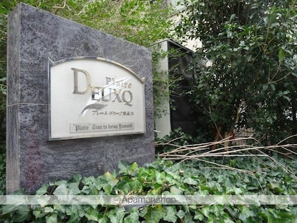 東京都品川区南品川４丁目[1K/21.02m2]のエントランス2