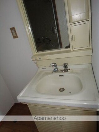 コーポ渡辺Ⅱ[3K/43.06m2]の洗面所