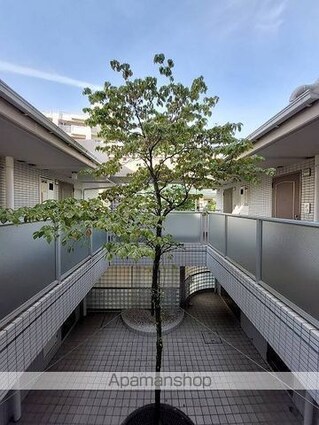 セルベコート野方[1K/23.52m2]の共用部