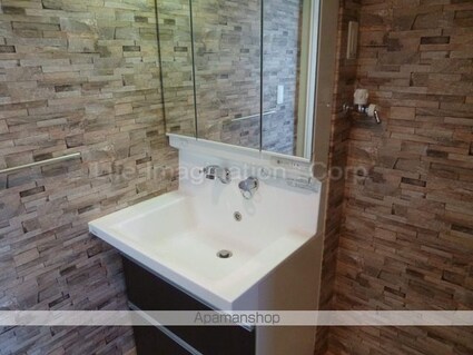 コンプリーション　アンソレイエ[1LDK/44.63m2]の洗面所