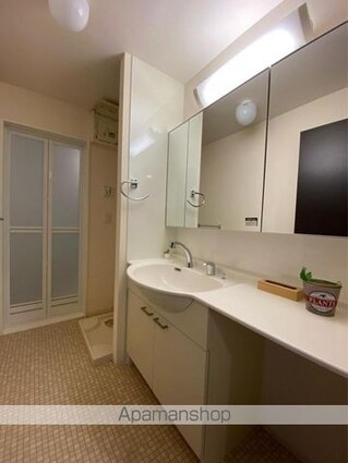 ラ・ルミエール[1LDK/43.09m2]の洗面所