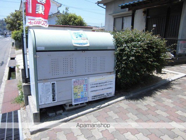 マノワールオオタのその他写真