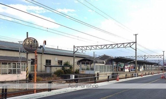 エバーグリーン 花の周辺写真