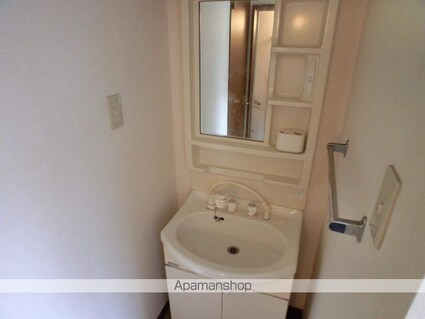 桐の木ハイツ[1DK/34.88m2]の洗面所