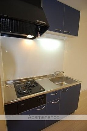 キャッスル常滑[1R/39.3m2]のキッチン