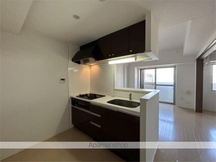 チェスナット　西大島[1SLDK/52.51m2]の内装1