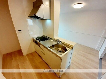 岐阜県岐阜市粟野西７丁目[2LDK/56.48m2]のキッチン