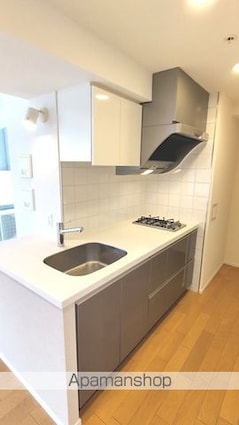 レジディア勝どき[1LDK/40.06m2]のキッチン