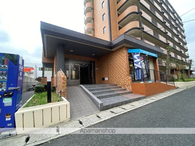 シロハイヌ今米のその他写真